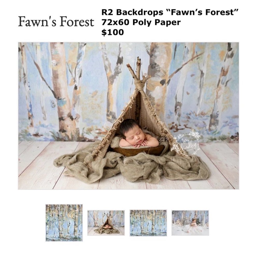 R2 Backdrops Professional Background for Photography - "Fawn's Forest" 72x60